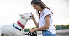 20 All-American Dog Breeds—Made in the USA