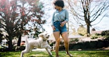 The Doodle Dog Guide: Popular Poodle Mixes, Explained