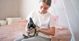 How Do You Know if Your Rabbit Actually Likes You?