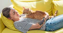 A Renter’s Guide to Cat Adoption