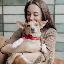It’s Adopt a Shelter Dog Month