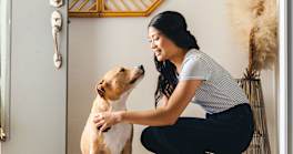 So You’re Bringing Home a Rescue Dog—Here’s What to Do