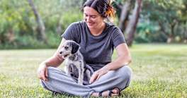 5 Reasons Why You Should Adopt a Mixed Breed Dog