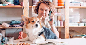 Am I Too Busy for a Dog?