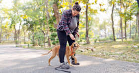 Should You Board and Train a Newly Adopted Puppy?