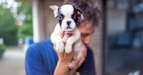 Getting a Puppy? How to Avoid Supporting a Puppy Mill