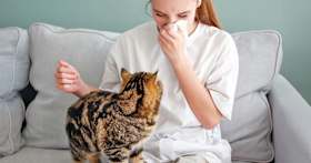 Can Humans Get Cats Sick?