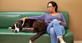 Does My Dog Need a Vet? Signs Your Dog Needs Medical Attention
