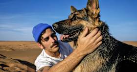 Is a German Shepherd Dog Right for Me?