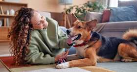 How does Adopt a Pet work?