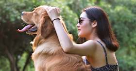 Your Guide to Becoming a Short-Term Dog Foster Parent