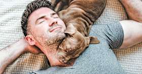 Should I Let My Puppy Sleep with Me?