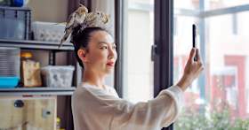 What to Consider When Adopting a Bird