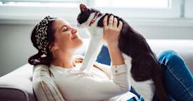 Safe Cat Collars: Are All Collars Safe for Cats?