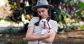 New Bunny Checklist: Everything You Need for a Pet Rabbit