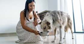 Think Your New Dog Has Food Allergies? Here’s What to Do Next