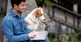 How Do I Rehome My Border Collie?