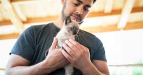 How to Take Care of a Kitten Without a Mother