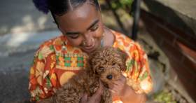 Shop Adopt a Pet’s New Pet Essentials List