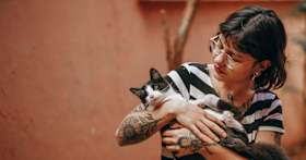 Fostering Cats: What to Know Before Fostering a Cat