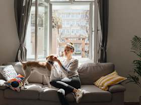 Are Shelter Pets Healthy?