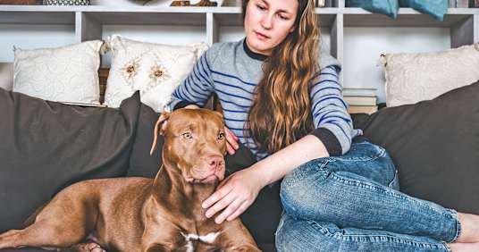 Is It Ever Okay to Return a Dog to a Shelter? 