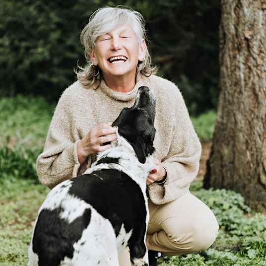 12 Best Dog Breeds for Seniors and Retirees