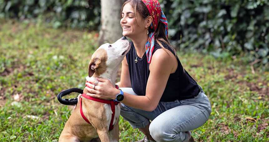 Doggy Day Out: How a Day Out Helps Shelter Dogs