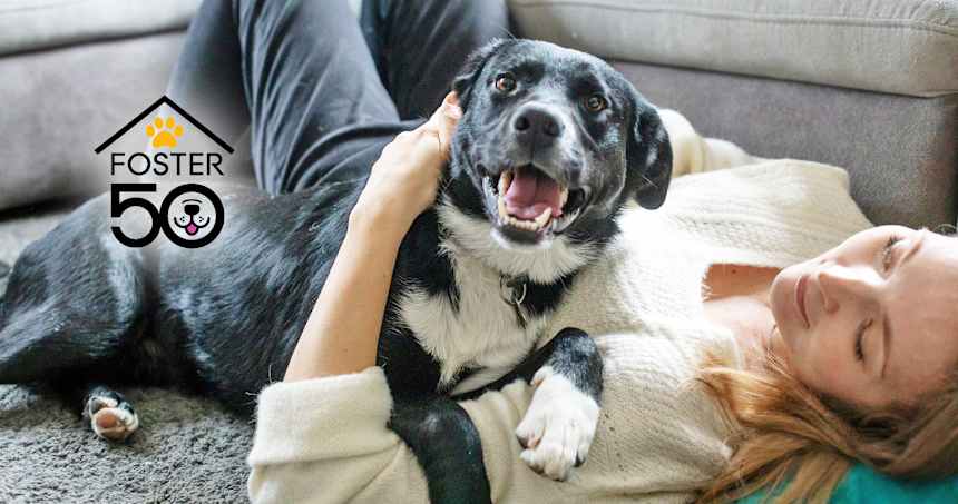 Why Fostering Is a Win-Win for Pets and Humans