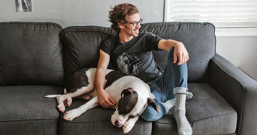 Velcro Dogs: 22 Breeds and Mixes That Stick by Your Side