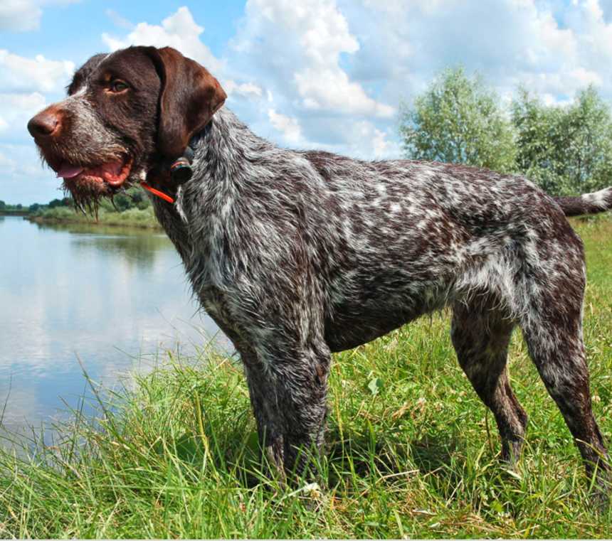 What is the difference between a GSP and a GWP?
