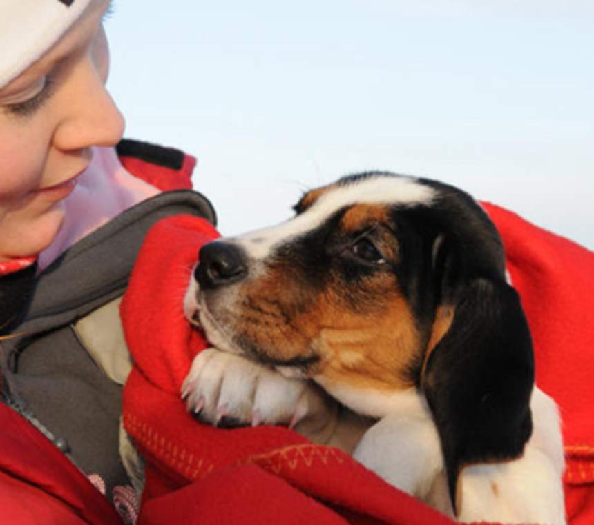 Are Halden Hounds good with kids?