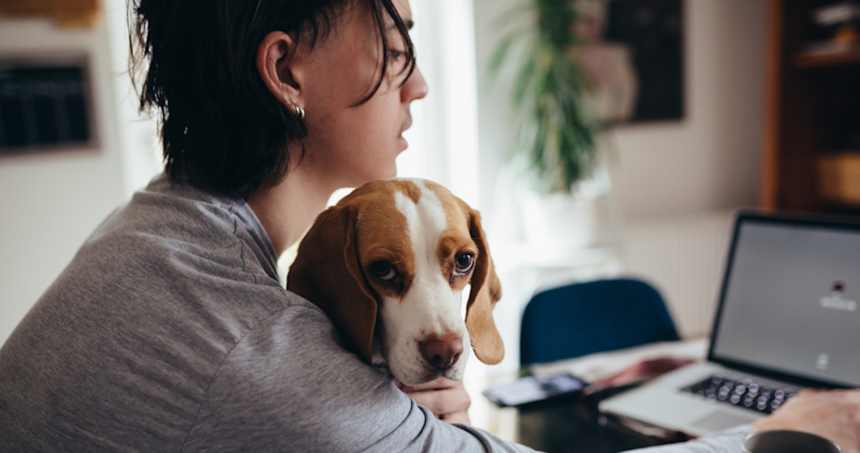 How Do I Surrender My Dog?