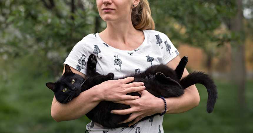Here’s Why You Should Adopt a Black Cat