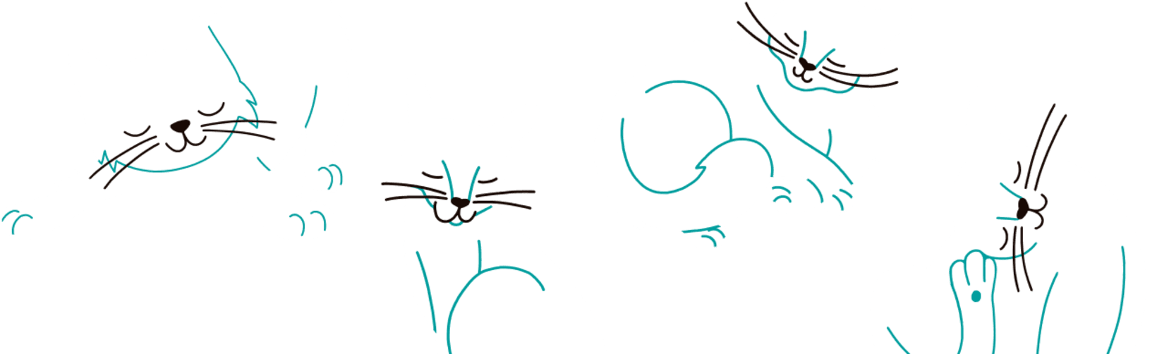 Illustrations of happy cats in different poses