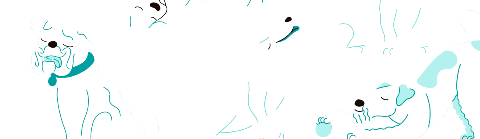 Illustrations of happy dogs in different poses
