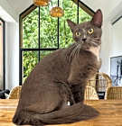 Photo of Fiona