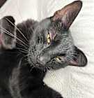 Photo of Mr. Binks