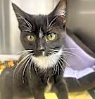 Photo of MARTINI