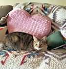 Photo of Loving Lexi