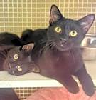 Photo of Fidget & Digit
