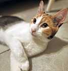 Photo of Laci
