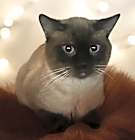 Photo of Tim