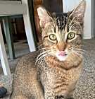 Photo of Abby