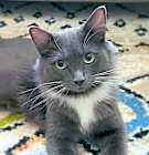 Photo of Molly
