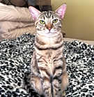 Photo of Daisy