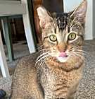Photo of Abby