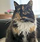 Photo of Mazzy