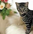Photo of Precious.