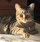Photo of Izzy